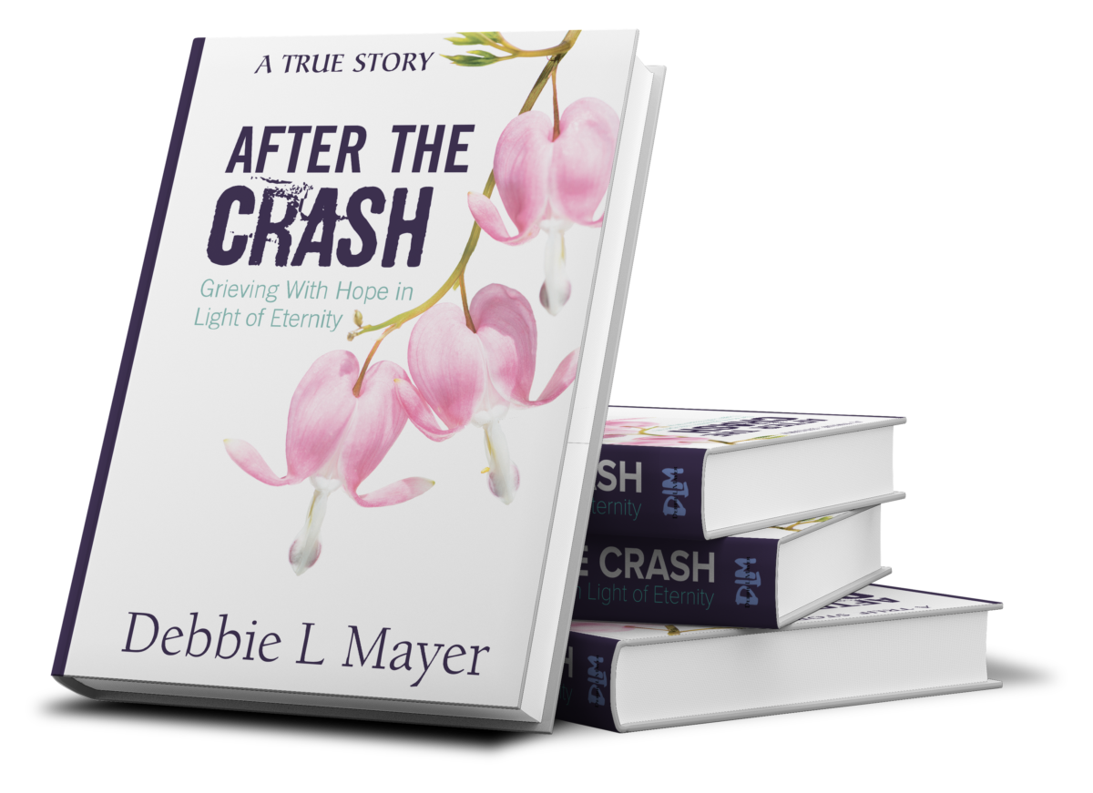 After the Crash by Debbie L Mayer